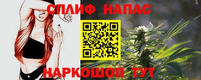 гашик Гай