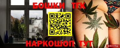 МДПВ Гатчина