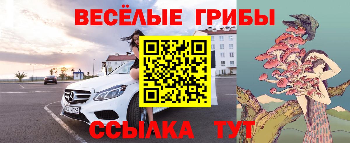 Муравленко  Галлюциногенные грибы Cubensis  Вход с VPN  Псилоцибиновые грибы мухоморы 